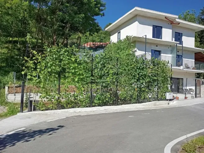 Casa STEJARU