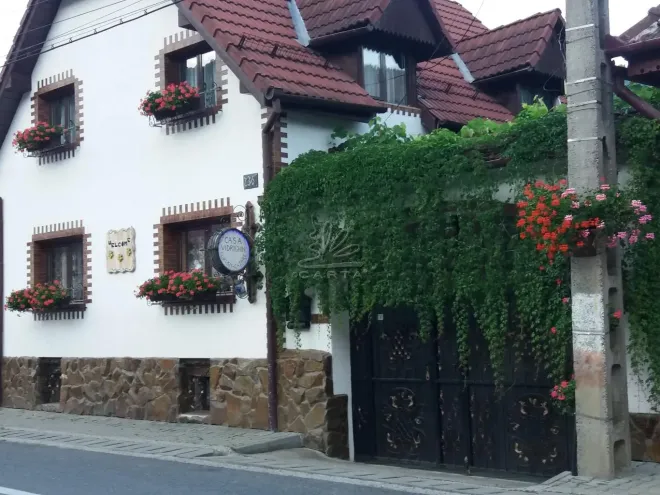 Casa de Vacanță VIDRIGHIN
